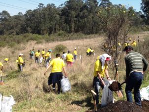 Reforestation Marbella Teambuilding and Corporate Events